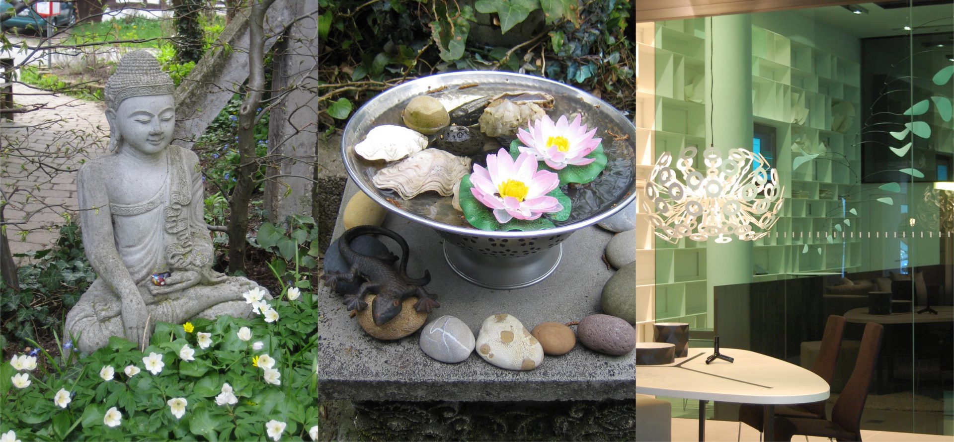 5-Elemente Farbberatung